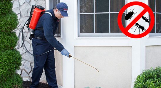 Yahşihan Akrep İlaçlama böcek ilaçlama ve haşere kontrolü — ilaclama-tr.com